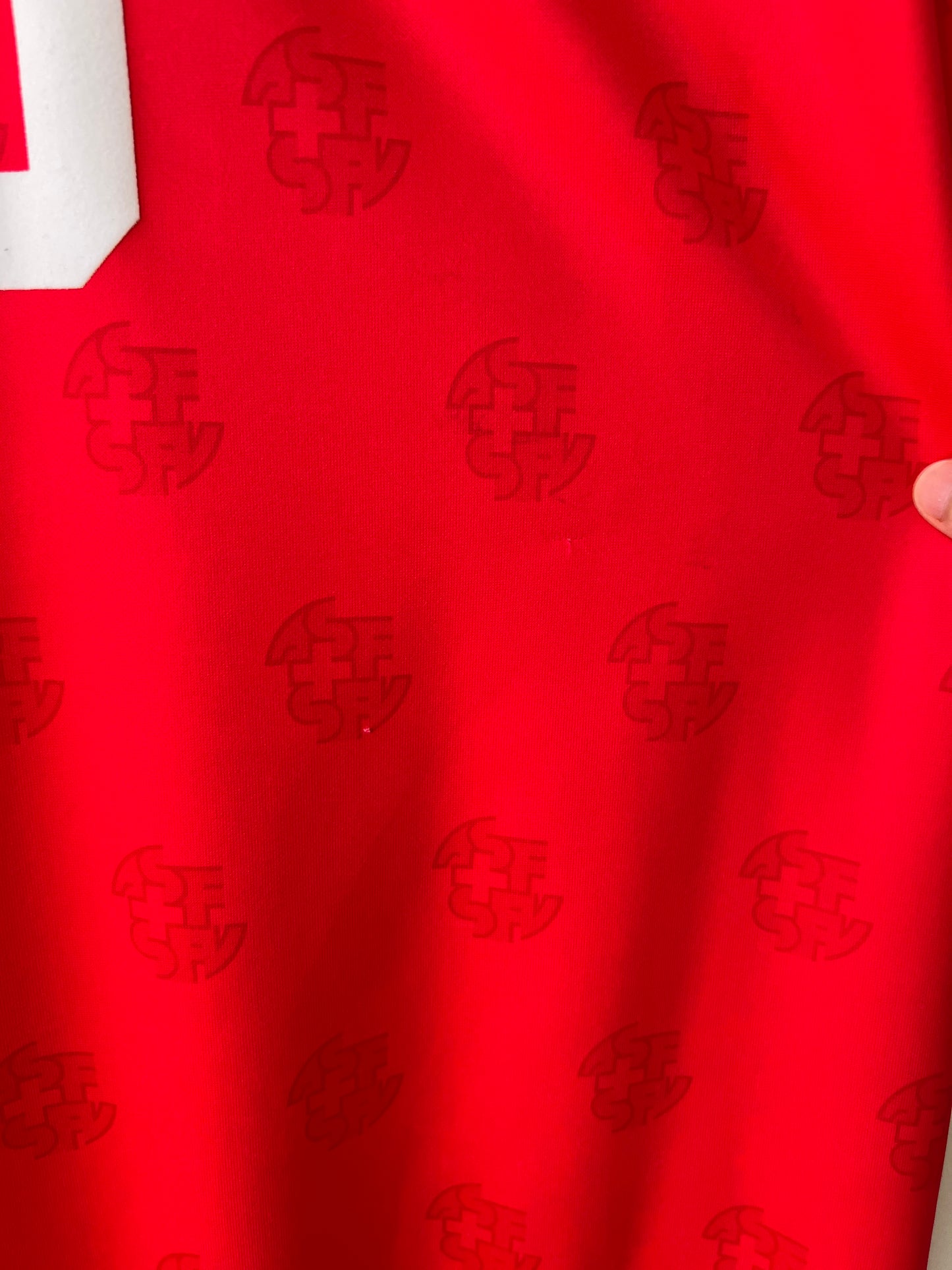 (L) Switzerland 1994-96 Home Shirt Sforza #10