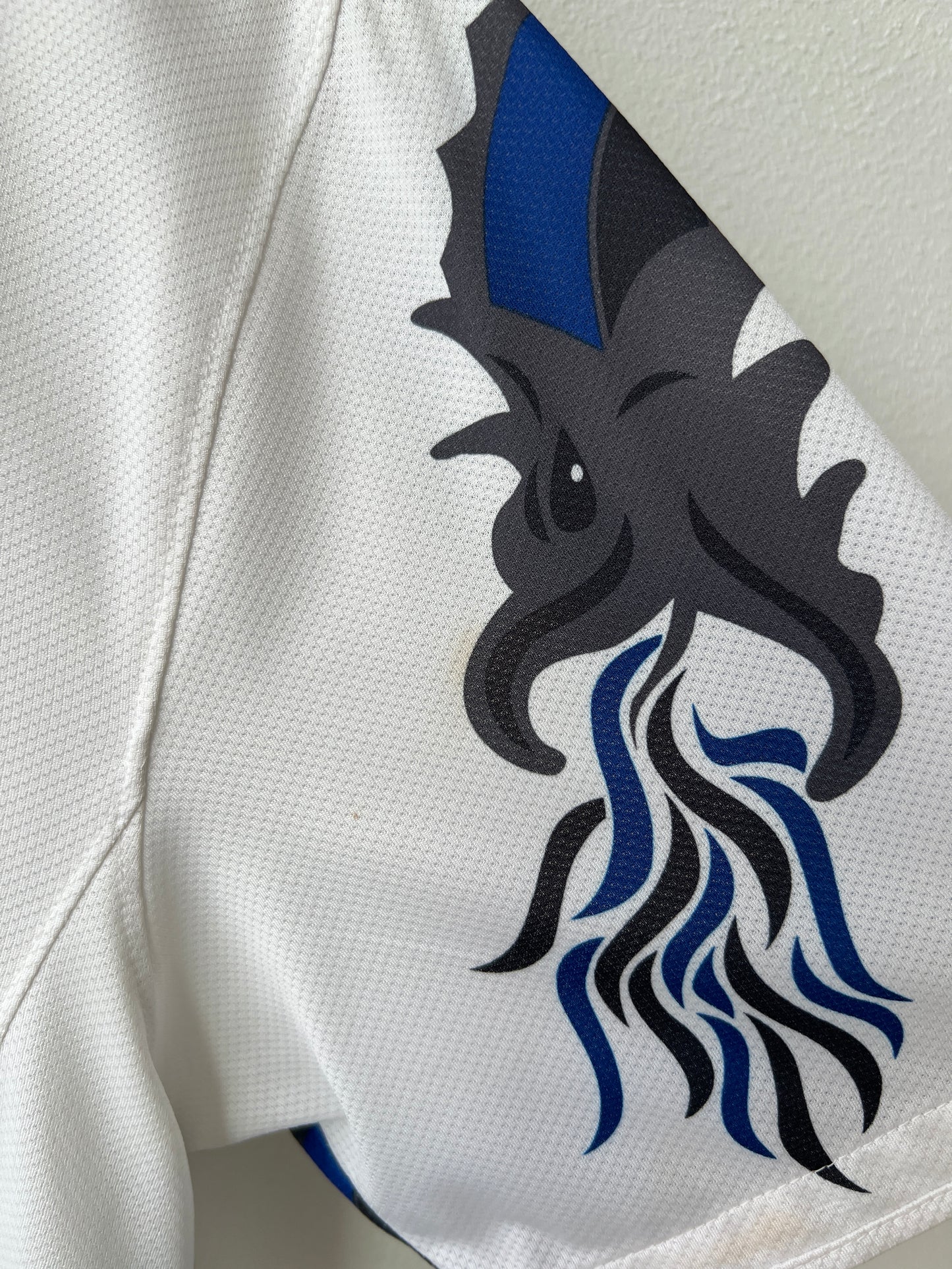 (M) Inter Milan 2010-11 Away Shirt J. Zanetti #4